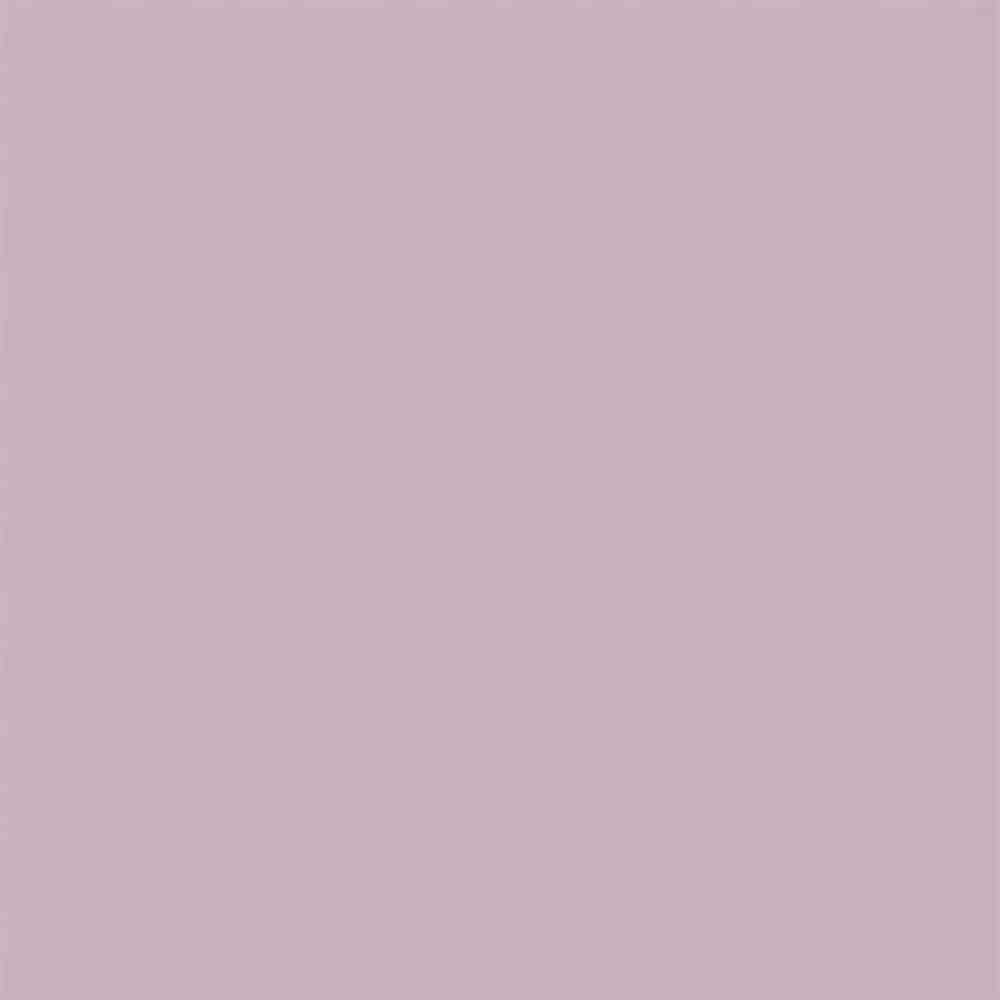 1741594806871.webp 1741594806871.webp